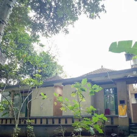 Daton House Near Bali Zoo Ubud Mitra Reddoorz